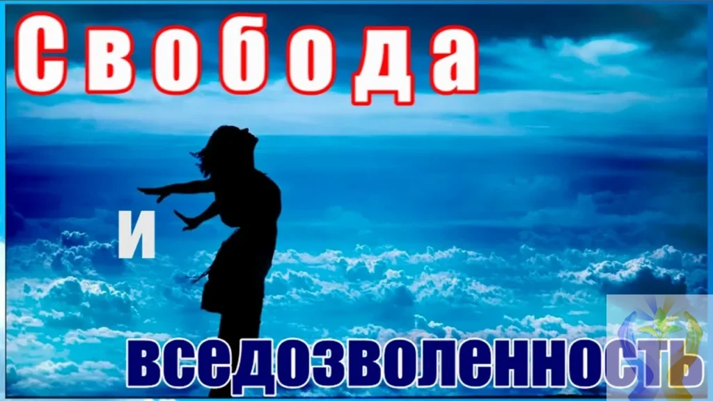 Чем свобода отличается от вседозволенности: